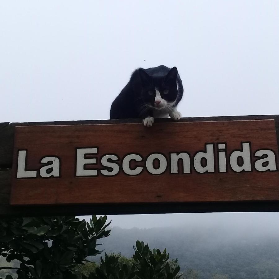 La Escondida Βίλα Praia do Rosa Εξωτερικό φωτογραφία